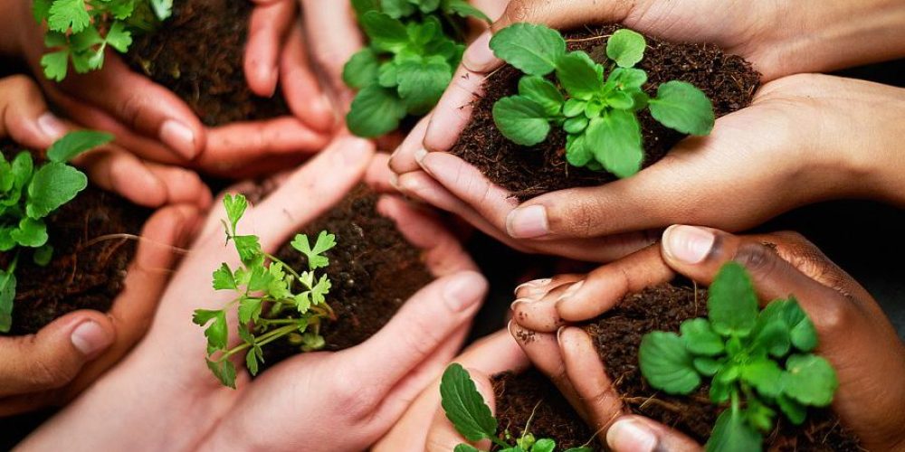 sustainable-change